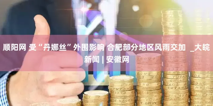 顺阳网 受“丹娜丝”外围影响 合肥部分地区风雨交加  _大皖新闻 | 安徽网