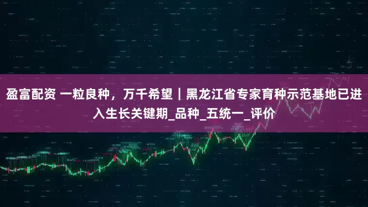 盈富配资 一粒良种，万千希望｜黑龙江省专家育种示范基地已进入生长关键期_品种_五统一_评价