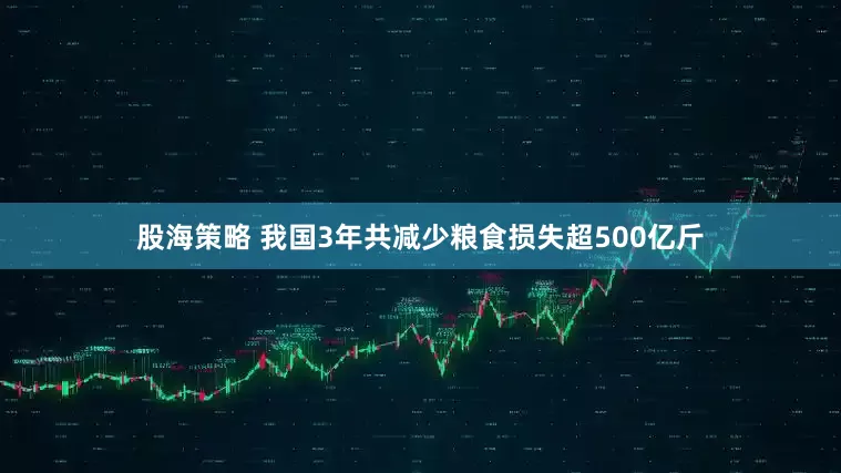 股海策略 我国3年共减少粮食损失超500亿斤
