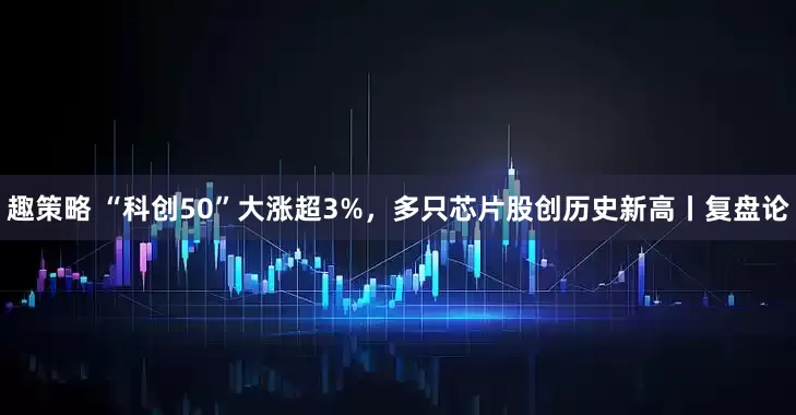 趣策略 “科创50”大涨超3%，多只芯片股创历史新高丨复盘论