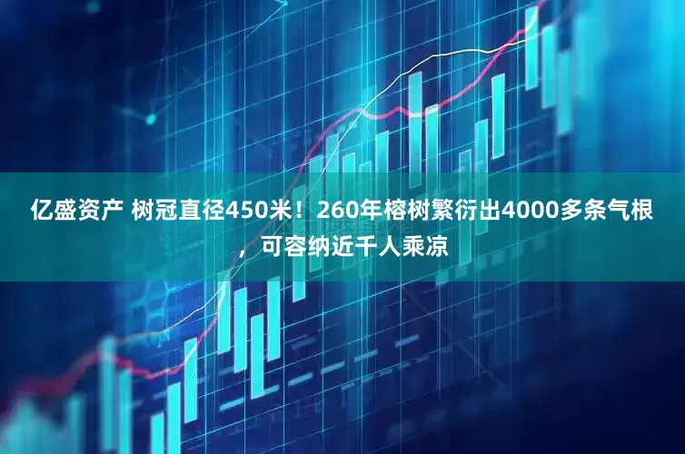 亿盛资产 树冠直径450米！260年榕树繁衍出4000多条气根，可容纳近千人乘凉