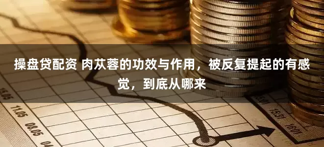 操盘贷配资 肉苁蓉的功效与作用，被反复提起的有感觉，到底从哪来