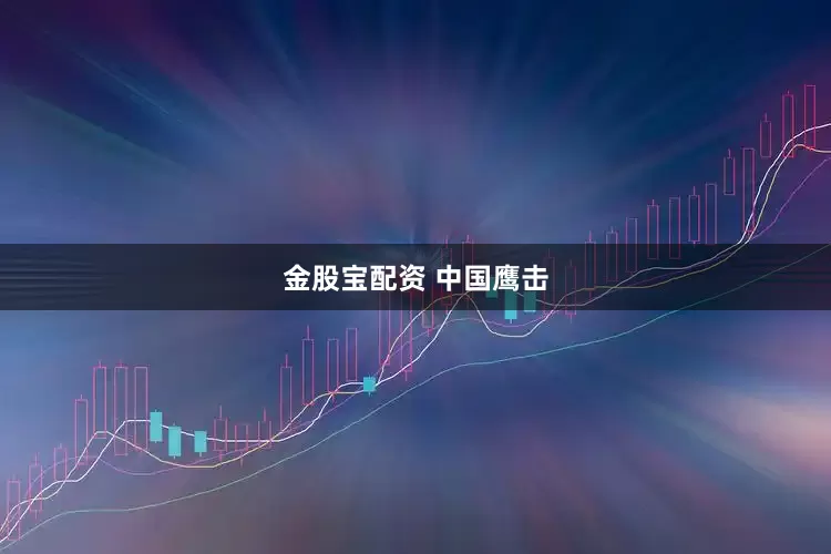 金股宝配资 中国鹰击